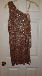 One Shoulder Rose Gold Sequin Dress